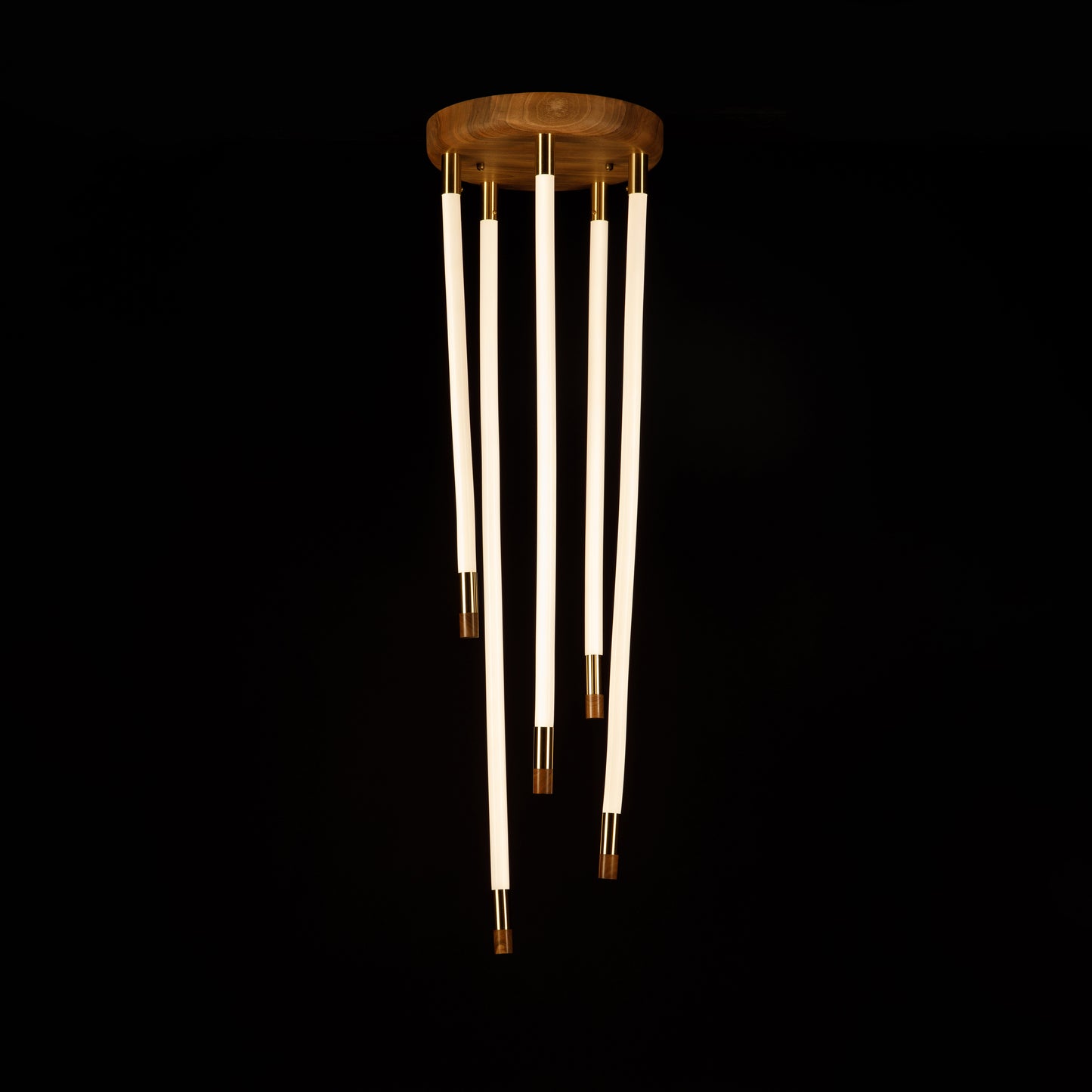 Authors Original Handmade Ceiling Lamp Savanna